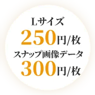 Lサイズ 250円/枚